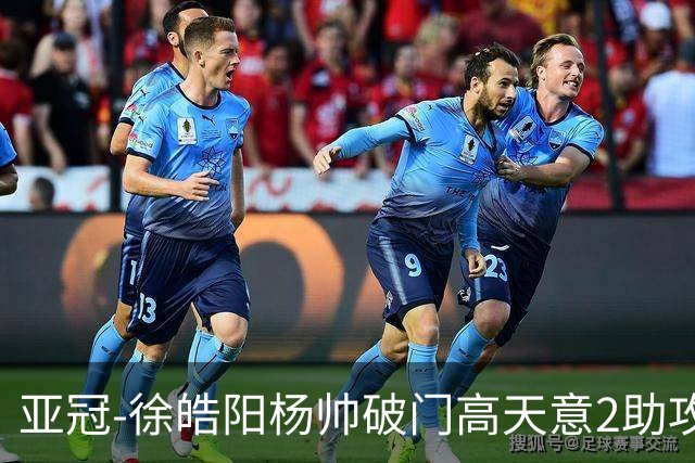 亚冠-徐皓阳杨帅破门高天意2助攻 申花2-1淡滨尼流浪者